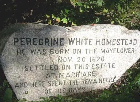 Peregrine: the Youngest of the Mayflower Pilgrims