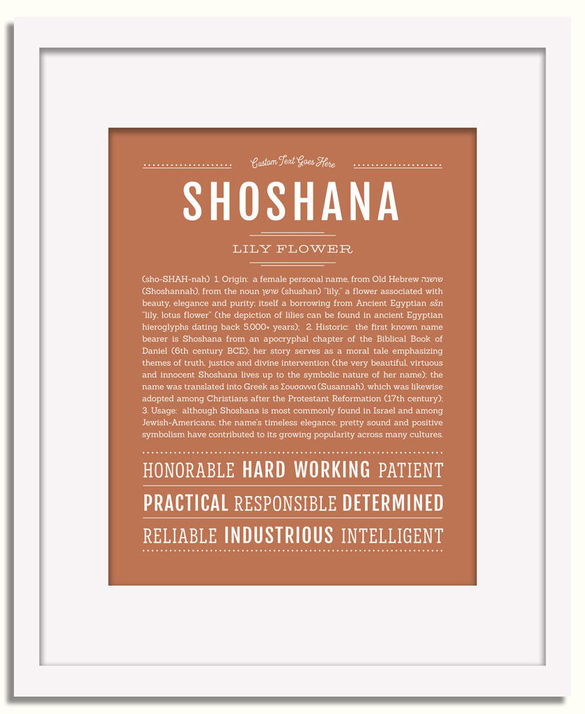 Frame Options | Terra Cotta | White Frame, Matted