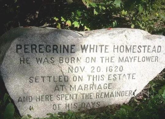 Peregrine: the Youngest of the Mayflower Pilgrims