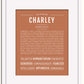 Frame Options | Terra Cotta | White Frame, Matted
