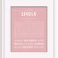 Frame Options | Dusty Rose | White Frame, Matted