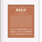 Frame Options | Terra Cotta | White Frame, Matted