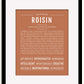 Frame Options | Terra Cotta | Black Frame, Matted